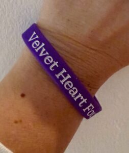 Velvet Heart Wristband